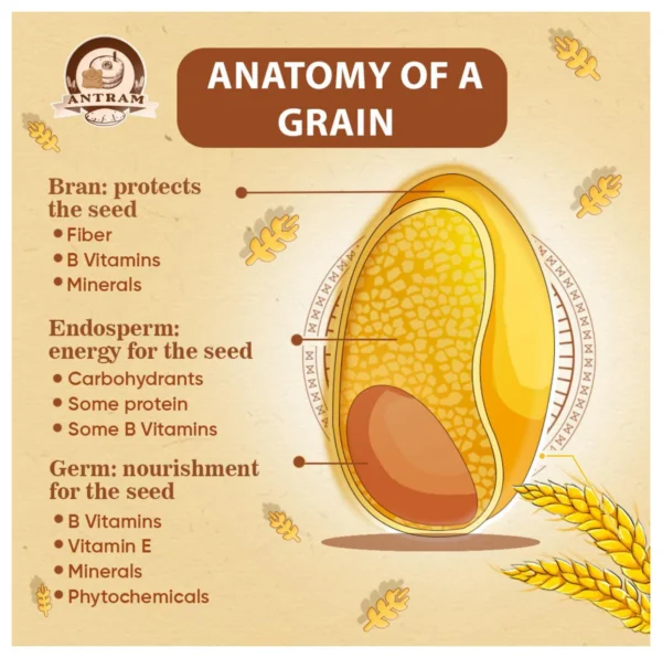 Whole Wheat Atta