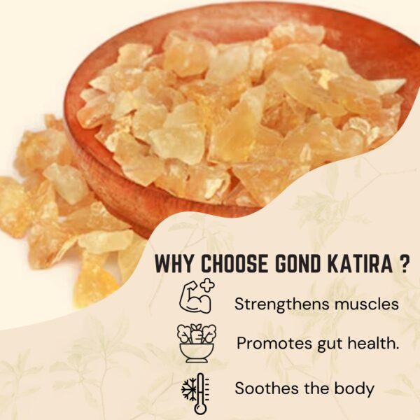 Why Choose Gond Katira